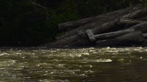 River flow, stream Video stock 89022285