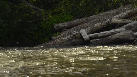 River flow, stream 動画素材 89022296