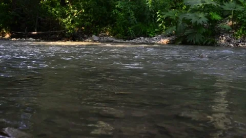 River flow, stream 動画素材 89022310