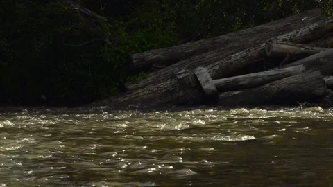 River flow, stream 動画素材 89022948