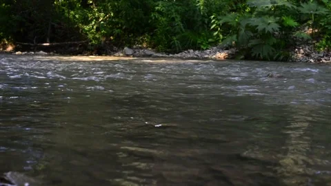 River flow, stream 動画素材 89023002