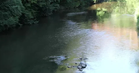 River flow on sunny day Stock Footage 200959238