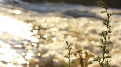 River flow sunset, light reflex in flowing water Stock Footage 49124785