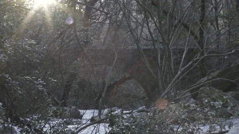 River flow in thick wood under a bridge in backlight, 4K, DNxHR Video stock 152532178