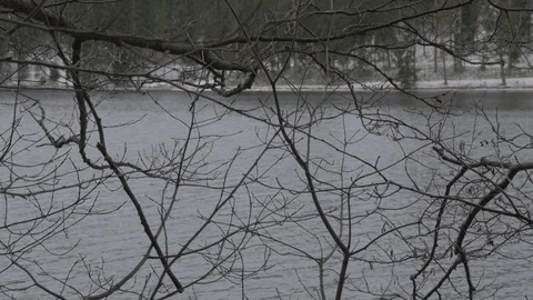 River flow through branches Stock Footage 123227874