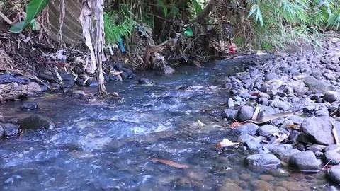 River flow with very clear water and small rocks around it Stock Footage 235909642