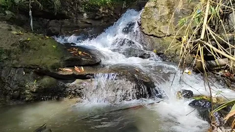 River flow video Stock Footage 241596287