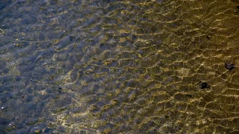 River flow view from top. Stock Footage 114246171
