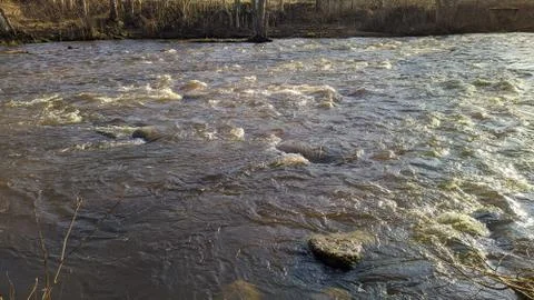 River flow in the wild forest in the daytime Stock Photos