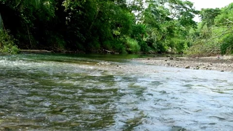 River Flow2 Video stock 323780310