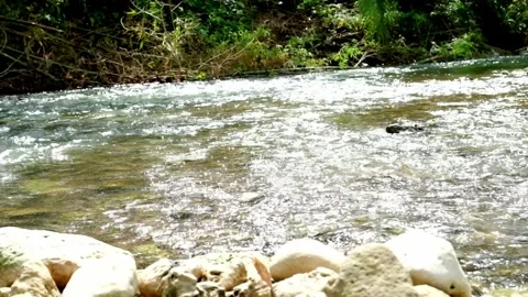 River Flow3 Video stock 323780312