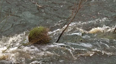 River flowing 2 Stock Footage 7753611