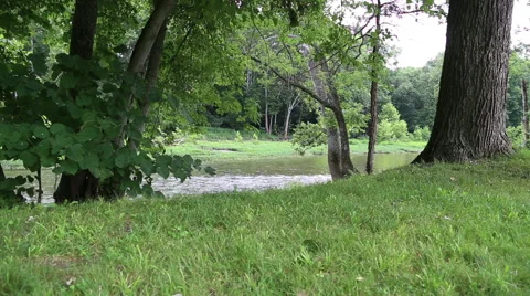 River flowing along a green river bank Stock Footage 48200034