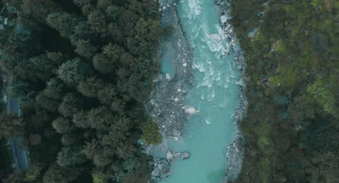 River flowing along a Thick forest Stock Footage 164700043