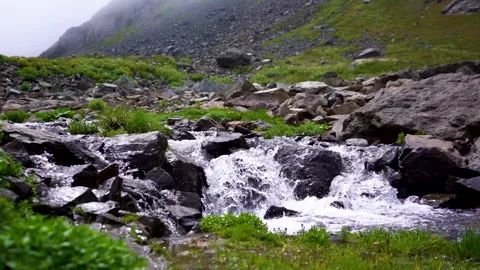 A river flowing among rocks surrounded by green grass Stock Footage 310663557
