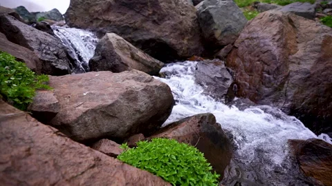 A river flowing among rocks surrounded by green grass Stock Footage 310664267