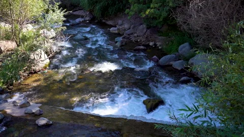 A river flowing among rocks surrounded by green grass Stock Footage 310664410