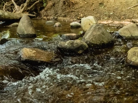River flowing around and over rocks - time lapse 動画素材 78663200