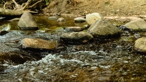 River flowing around and over rocks - time lapse Stock Footage 86385661