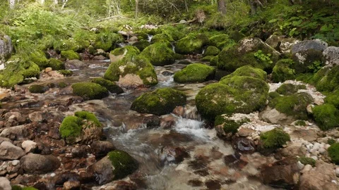 River flowing around Moss Stones in Nature Video stock 116543653