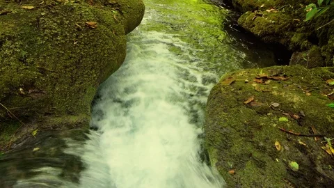 River flowing in autumn 스톡 동영상 81627238