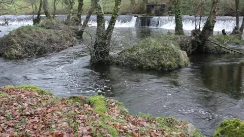 River flowing in autumn scenario in Vilalba, Spain Stock Footage 301570153