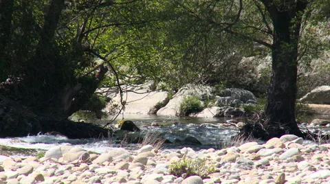 River flowing away behind rocks through the forest Stock Footage 49553209