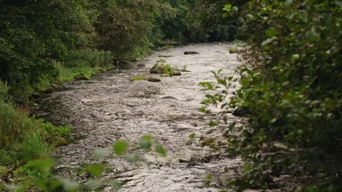 River Flowing Away from Camera Stock Footage 343291488