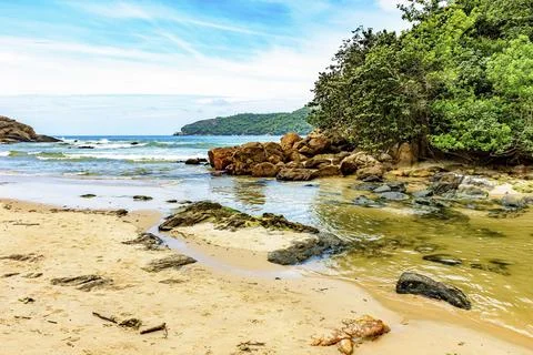 River flowing into the beach between the sea, the rocks and the rainforest in Stock Photos