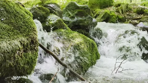 River flowing from the beautiful mountains of the Balkans Vídeos de archivo 341323796