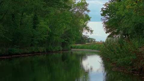 River flowing between dense green forest reflecting trees on calm water surface Stock Footage 323604200