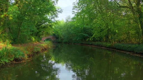 River flowing between green forest with reflection of trees in water. Autumn Stock Footage 317082137
