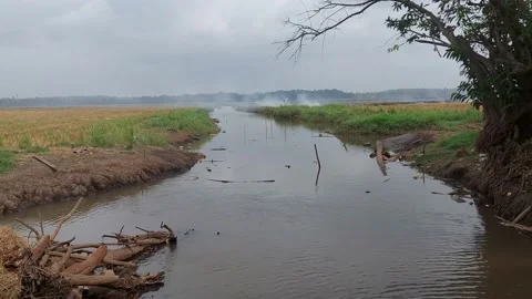 A river flowing between rice field a view from Kerala Stock Footage 172347644