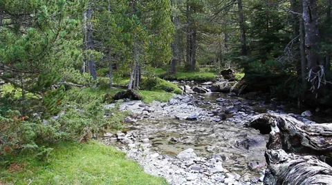 A river flowing between rocks Stock Footage 36551807