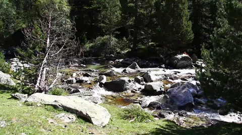 A river flowing between rocks Stock Footage 36552354