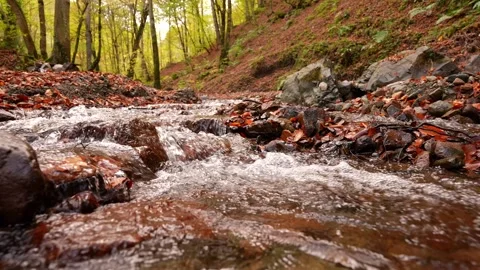 The River Flowing Between the Stones Stock Footage 256477445