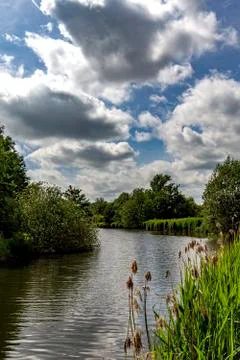River flowing between the trees in a park from Ghent Stock Photos