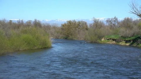 River Flowing, Bustling River, Blue Sky, Spring Sunny Day, 4K 库存影片 105177805