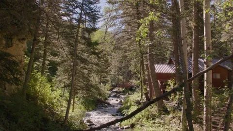 River Flowing with Cabin in the woods. Stock Footage 204871004