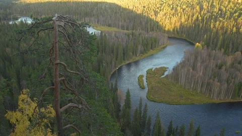 River is flowing in canyon with beautiful autumn colors in Lapland Stock Footage 112894953
