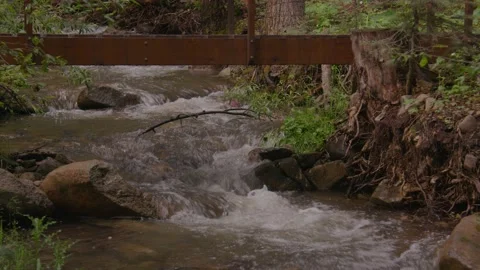 River Flowing with clean Water Stock Footage 204880485