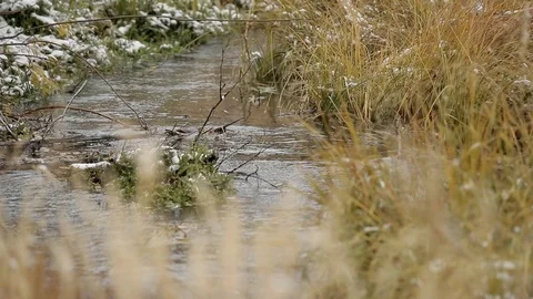 River Flowing Clear Water Fresh Snow 스톡 동영상 101033210