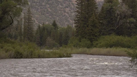 River Flowing in Colorado Stock Footage 123423128