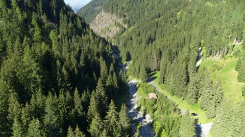 River flowing in deep valley surrounded by forests. Aerial of summer landscape Video stock 153292027
