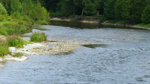 River Flowing Down Over Rocks In  Nice Rural Landscape Stock Footage 200857645