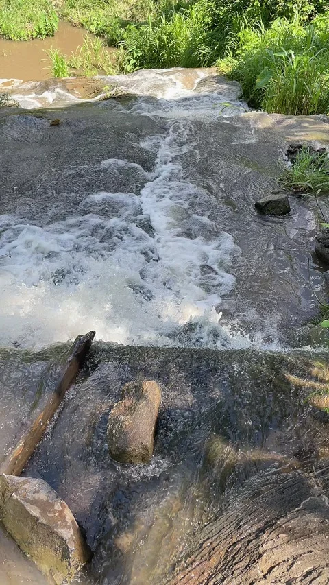 River flowing down to the rocks. Vertical shot. A river flows over rocks. Stock Footage 219741473