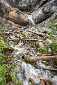 River Flowing Down From Waterfall With Fallen Logs and Moss Covered Rocks Stock-Fotos