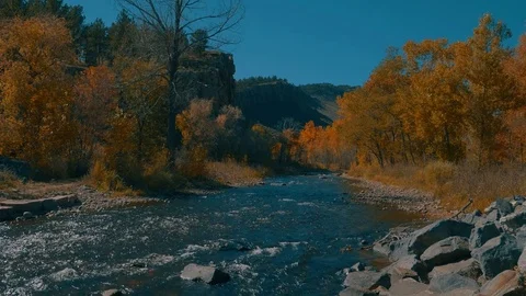 River Flowing during Fall Vídeo Stock 83671507