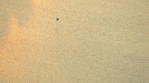 River flowing on evening twilight sunset. nature landscape Stock Footage 106819398