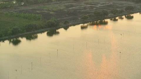 River flowing on evening twilight sunset. nature landscape Stock Footage 106819576